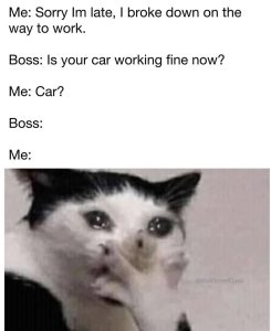 Stupid Bar Memes 747630594647273943sn