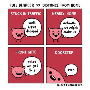 Stupid Bar Memes 757175s71737