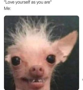 Stupid Bar Memes 98s65668