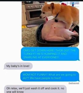 Stupid Bar Memes a0ezy6qssb