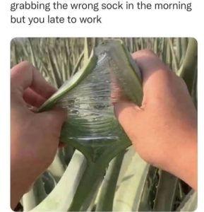 Stupid Bar Memes a5QvYDEssb