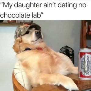 Stupid Bar Memes a7oPZvwssb