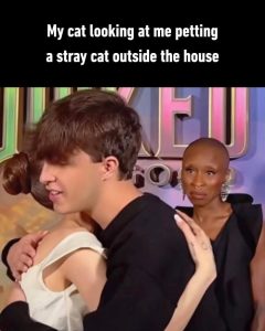 Stupid Bar Memes aAyLD6dssb