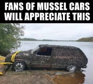 Stupid Bar Memes aD2qoKdssb