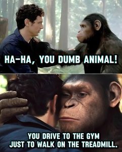 Stupid Bar Memes aD2qzDKssb