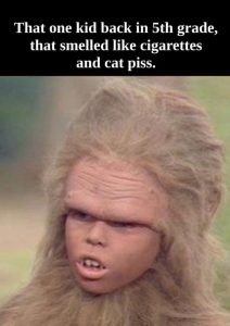 Stupid Bar Memes aE0y9Zxssb