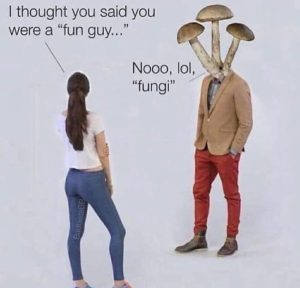 Stupid Bar Memes aMVDovRssb