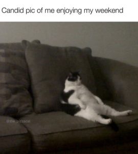 Stupid Bar Memes aO8nvA3ssb