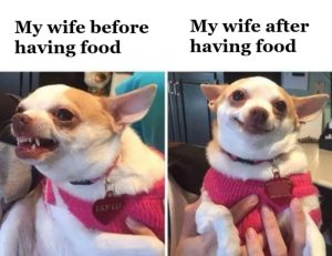 Stupid Bar Memes aQzD4E7ssb