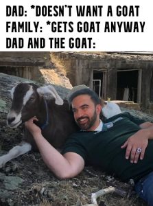Stupid Bar Memes aRB86Mjssb