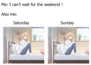 Stupid Bar Memes aRB9Pejss