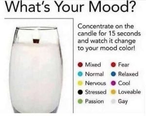 Stupid Bar Memes aVv4XjPss