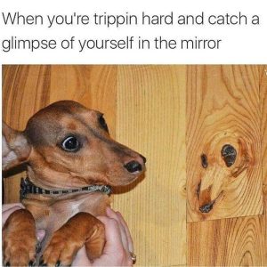 Stupid Bar Memes aW4POnZss