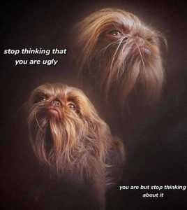 Stupid Bar Memes aXPQ34Dssb