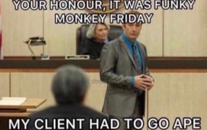 Stupid Bar Memes ae9qY0qssb
