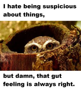 Stupid Bar Memes amoK022ss