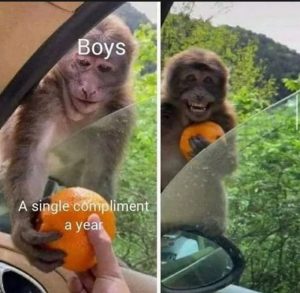 Stupid Bar Memes amoKQqyssb