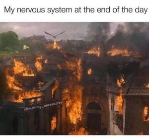 Stupid Bar Memes aqyVZ2Pssb
