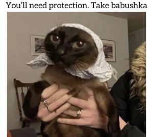 Stupid Bar Memes avy44M5ss