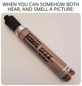 Stupid Bar Memes avyBLqqssb