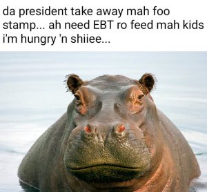 Stupid Bar Memes awyP9O1ss