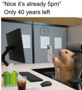Stupid Bar Memes axyeG0Mssb