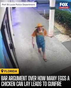Stupid Bar Memes ayNZgXMssb