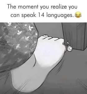 Stupid Bar Memes azxovzjss