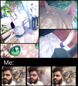 Stupid Bar Memes azxvjrpssb