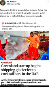 Stupid Bar Memes c9cf4c76dd84