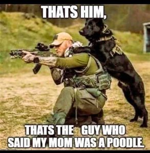 Stupid Bar Memes dogsidsmomswasspo