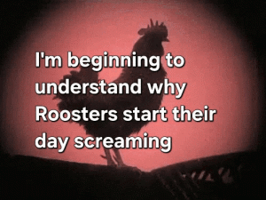 Stupid Bar Memes e5f1656fccb25d