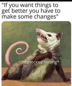 Stupid Bar Memes edu7y6t5rndojo