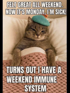 Stupid Bar Memes educatffd44rdojo