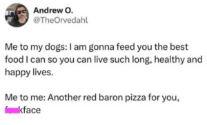 Stupid Bar Memes educati5tghy6ojo
