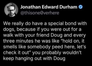 Stupid Bar Memes education9o000dojo