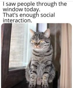 Stupid Bar Memes ghswindowsenough