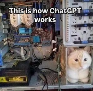 Stupid Bar Memes hksscatsinsidescom