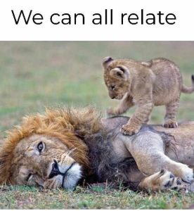 Stupid Bar Memes litsscansallsrelate