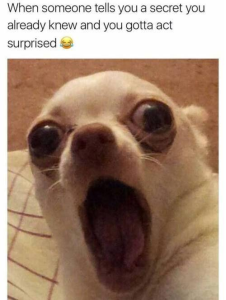 Stupid Bar Memes nbg3do9goy3g1