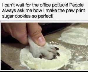 Stupid Bar Memes officespkiesspotluck