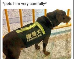 Stupid Bar Memes sivesdogspetsshimsc