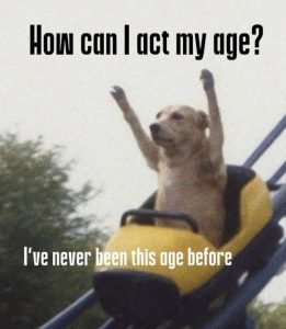 Stupid Bar Memes smysagesneversbee