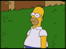 Stupid Bar Memes thessimpsonsshomerssimpson