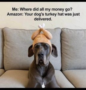 Stupid Bar Memes thosmoneysdogstu