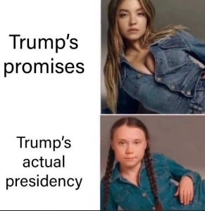 Stupid Bar Memes trumsweeneysactualsp
