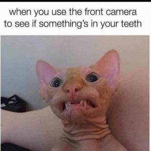 Stupid Bar Memes 0878s30015