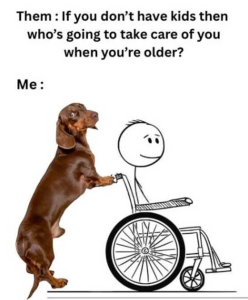 Stupid Bar Memes 0k0jationdojo