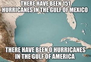 Stupid Bar Memes 1623c41253
