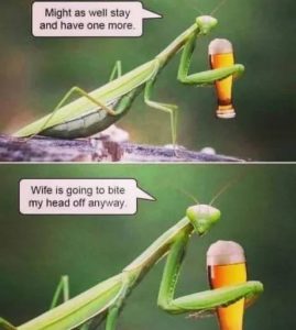 Stupid Bar Memes 3869c417d9